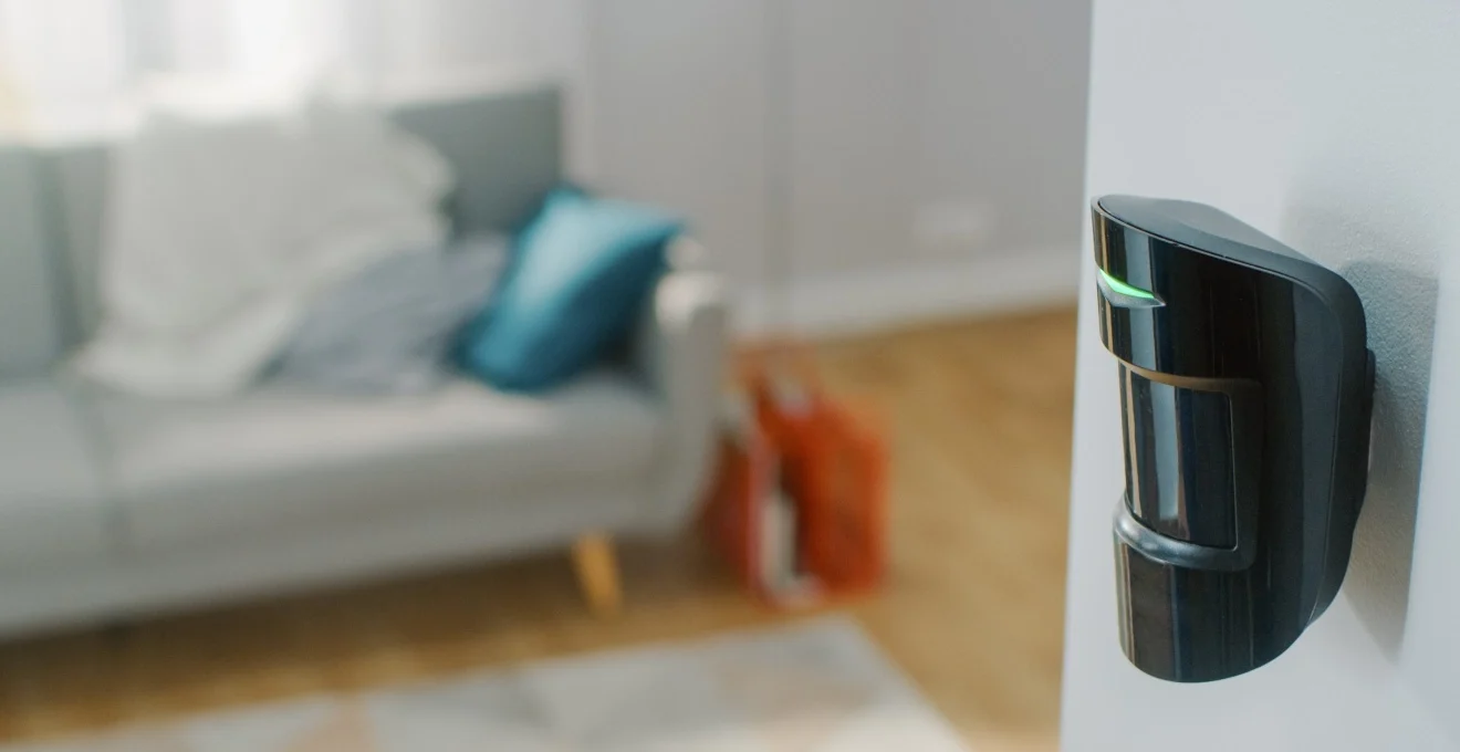 alarme-maison-et-animaux-quelles-technologies-pour-eviter-les-fausses-alertes