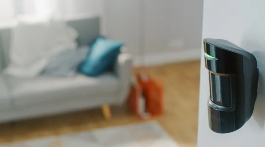 alarme-maison-et-animaux-quelles-technologies-pour-eviter-les-fausses-alertes